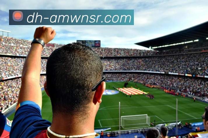 多媒体互动体验